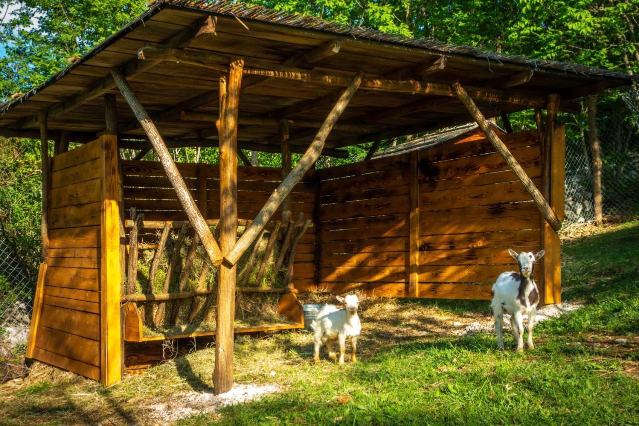 Robinson Accommodation Freedom Foli Bagian luar foto