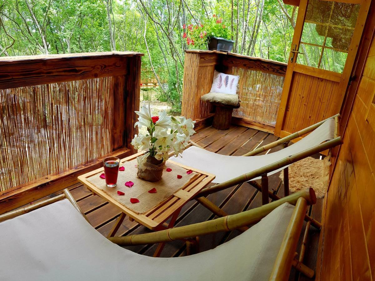 Robinson Accommodation Freedom Foli Bagian luar foto