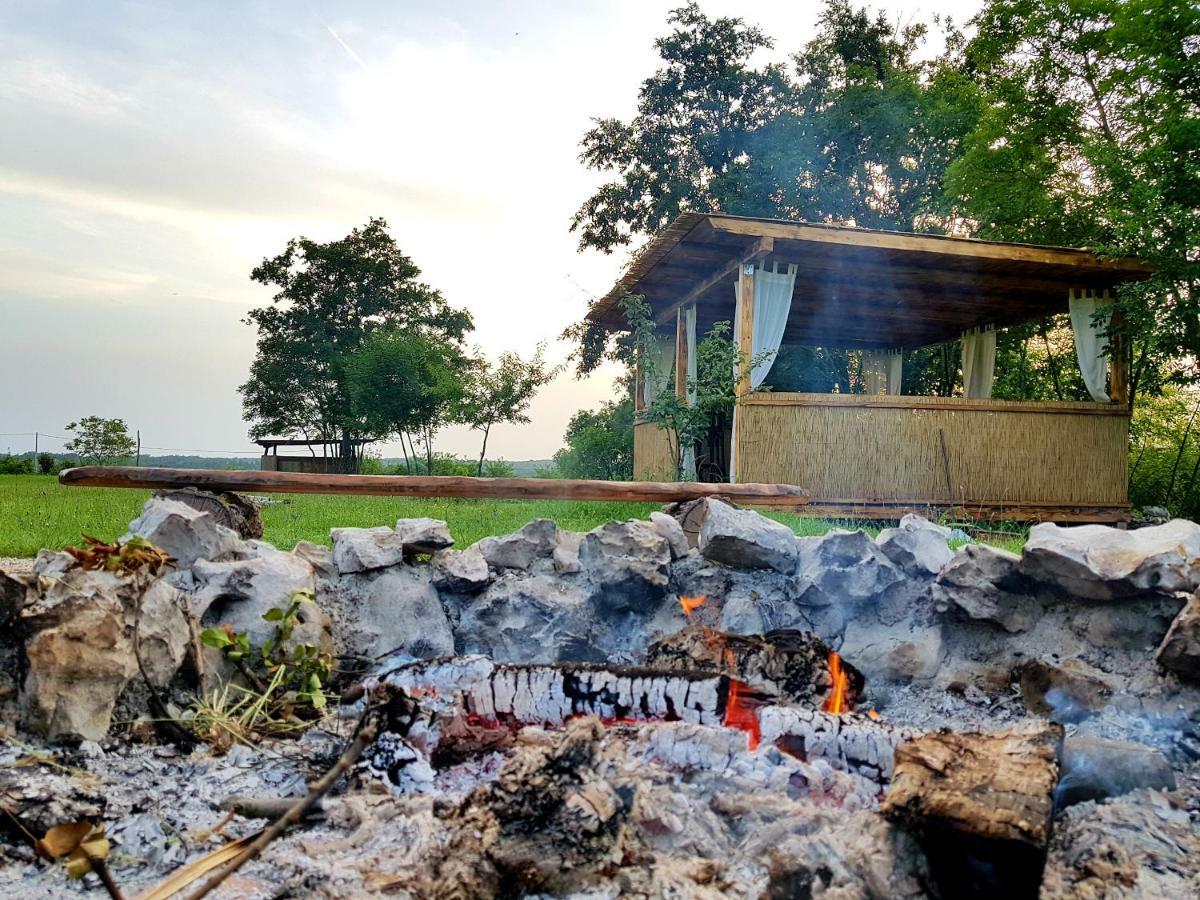 Robinson Accommodation Freedom Foli Bagian luar foto