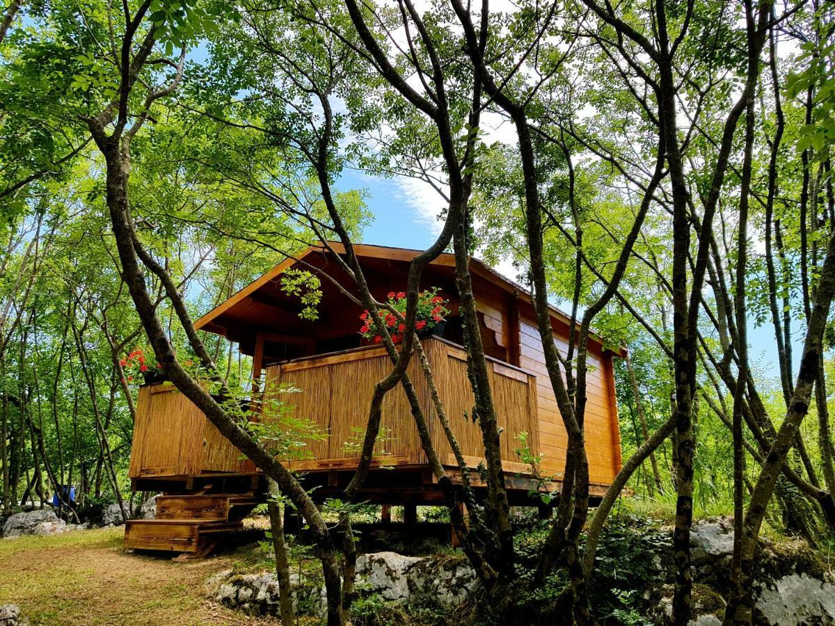Robinson Accommodation Freedom Foli Bagian luar foto